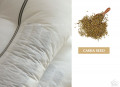 Ruột gối Olympia Cassia massage chống ngáy-19
