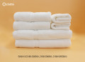 Combo khăn Anna 3.2: 1 khăn mặt + 1 khăn gội + 1 khăn tắm 70x140cm-17