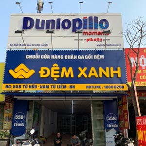 Đệm Xanh Tố Hữu