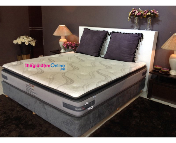 Đại lý bán đệm lò xo Canada chính hãng tại quận Thanh Xuân