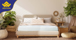 Nệm Everon 1m2 (120cm) giá bao nhiêu?