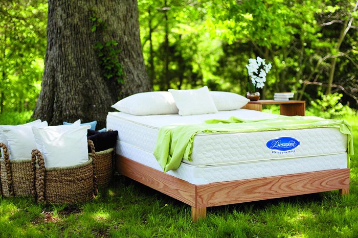 Chăn ga gối khách sạn và những đồ dùng không thể thiếu