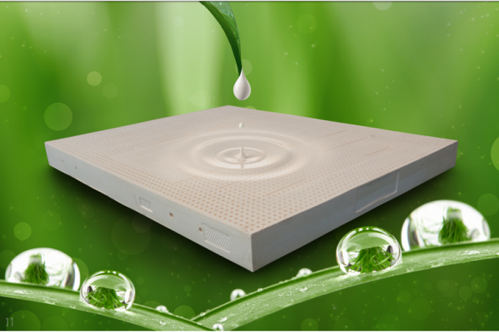 Cách giặt đệm cao su Dunlopillo Cách giặt đệm cao su Dunlopillo