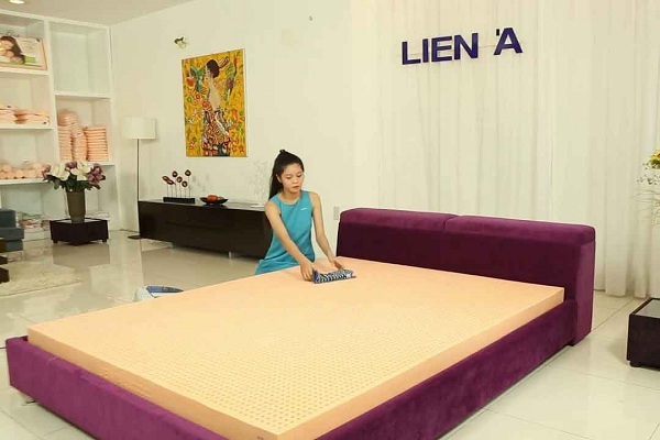 Tìm kiếm đại lý đệm cao su Liên Á tại Hà Nội