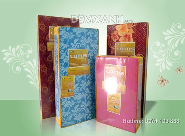 Tư vấn mua đệm giá rẻ cho sinh viên 