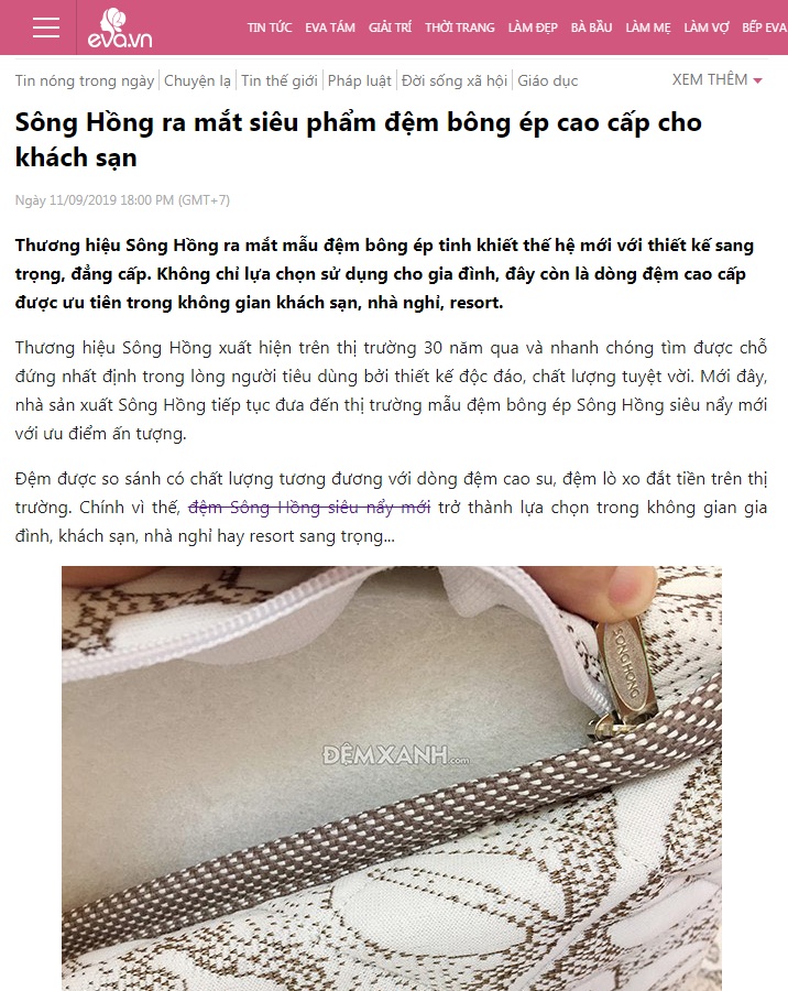 Sông Hồng ra mắt siêu phẩm đệm bông ép cao cấp cho khách sạn