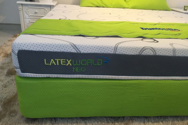 Trên thị trường hiện nay đệm cao su loại nào tốt nhất?