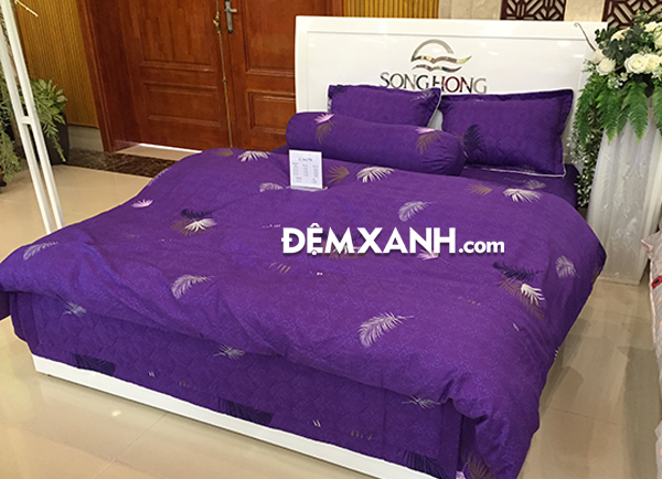 [Cập nhật] Địa chỉ bán chăn đông cao cấp tại 566B Nguyễn Văn Cừ - Long Biên 