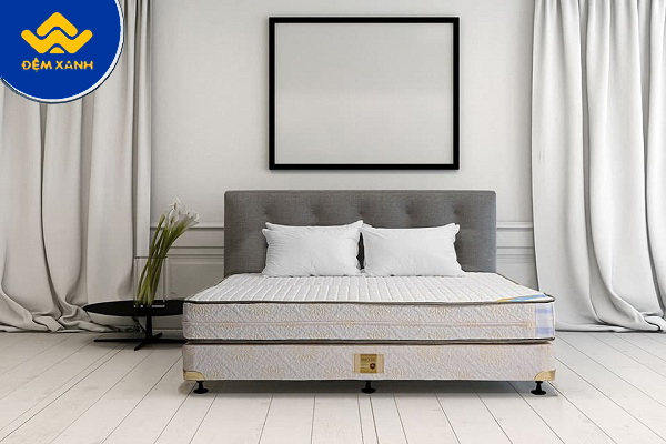 Top 8 thương hiệu nệm bông ép chất lượng hiện nay! Top 8 thương hiệu nệm bông ép chất lượng hiện nay!
