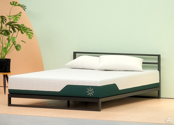 [Cập nhật] Bảng giá nệm foam Zinus khuyến mại chính hãng năm 2022
