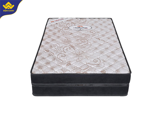 Đại lý bán đệm bông ép mặt cao su tại Bắc Giang Đại lý bán đệm bông ép mặt cao su tại Bắc Giang