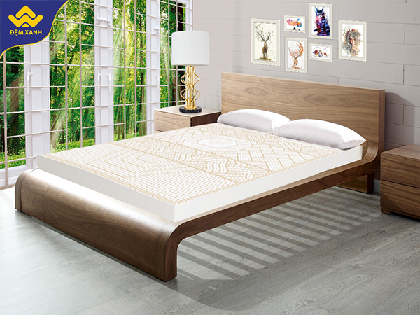 Đại lý bán đệm cao su Kim Cương tại Bắc Giang