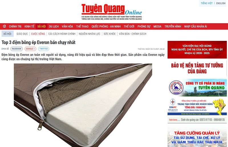 Top 3 đệm bông ép Everon bán chạy Top 3 đệm bông ép Everon bán chạy