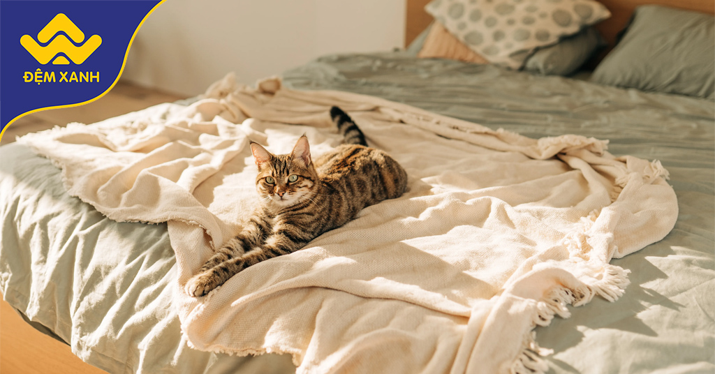 Hướng dẫn chọn bộ ga trải giường mùa hè thoáng mát