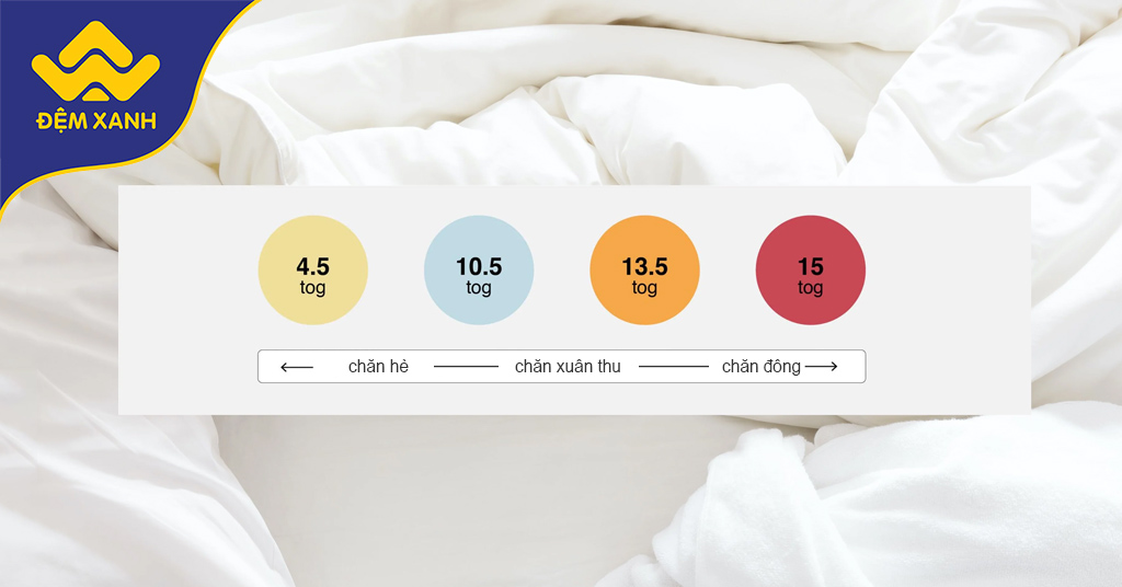 Xếp hạng tog: Bí quyết lựa chọn chăn đắp