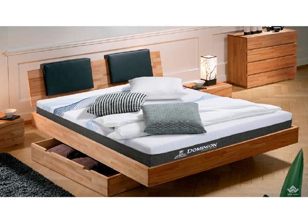 Đại lý bán đệm Kim Cương tại Bắc Ninh