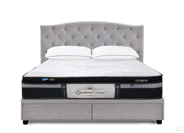 Đại lý bán đệm Olympia tại Thanh Hóa