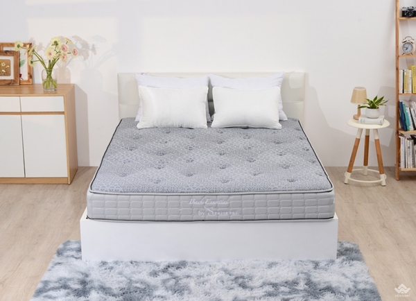 Đại lý bán đệm Sông Hồng tại Thanh Hóa