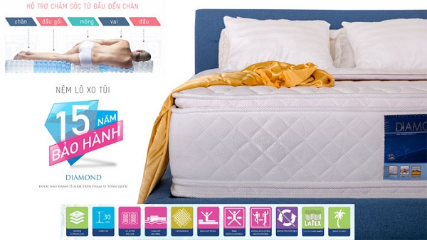 Đại lý bán đệm Vạn Thành tại Bắc Ninh Đại lý bán đệm Vạn Thành tại Bắc Ninh