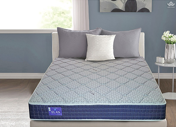 Đại lý bán đệm Elan tại Bắc Ninh Đại lý bán đệm Elan tại Bắc Ninh
