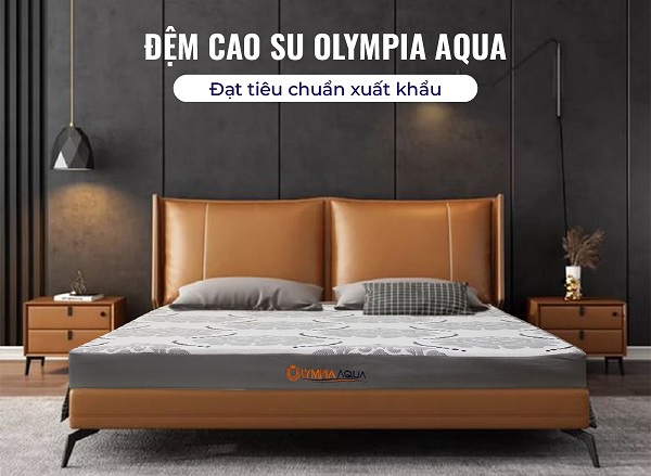 Đại lý bán đệm cao su Olympia tại Bắc Ninh Đại lý bán đệm cao su Olympia tại Bắc Ninh
