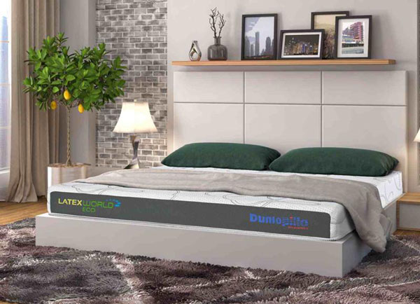 Danh sách đại lý đệm Dunlopillo uy tín trên toàn quốc