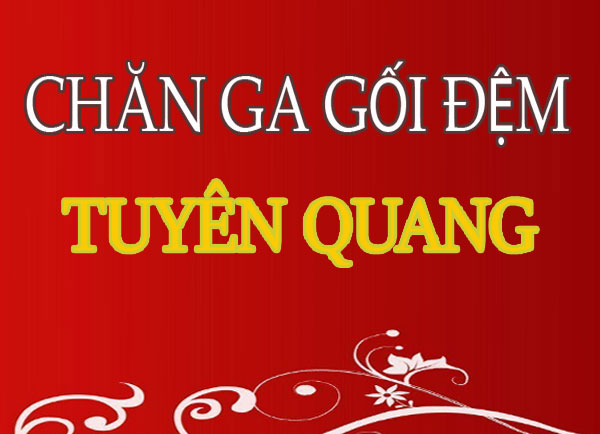 Đệm bông ép Tuyên Quang Đệm bông ép Tuyên Quang