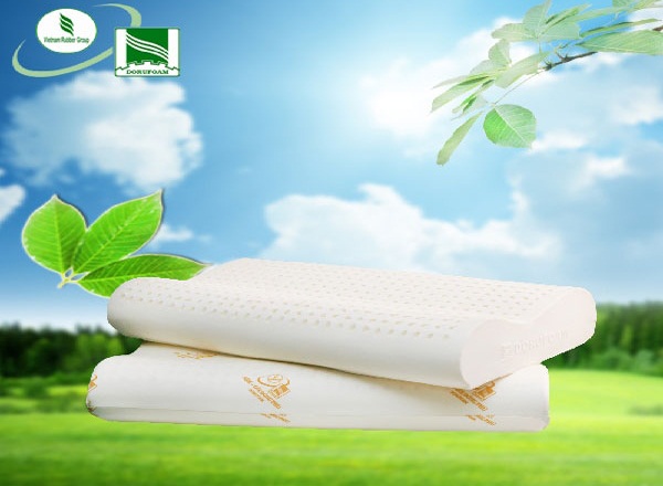 Gối cao su Đồng phú có tốt không? Gối cao su Đồng phú có tốt không?