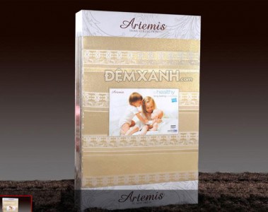 Đại lý bán đệm Everon giá rẻ tại Huyện Hưng Hà-Thái Bình