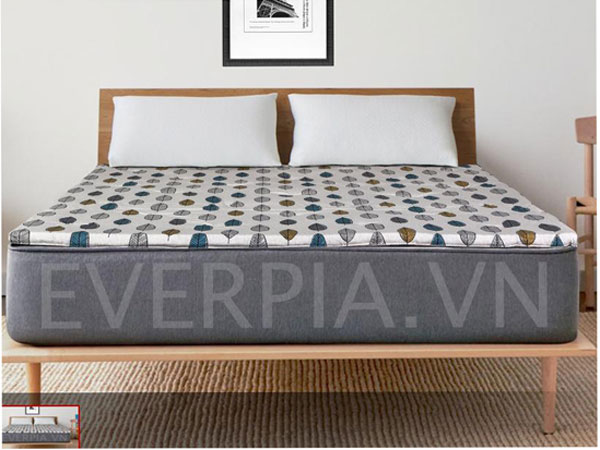 Đại lý bán đệm Everon giá rẻ tại Huyện Kiến Xương-Thái Bình Đại lý bán đệm Everon giá rẻ tại Huyện Kiến Xương-Thái Bình