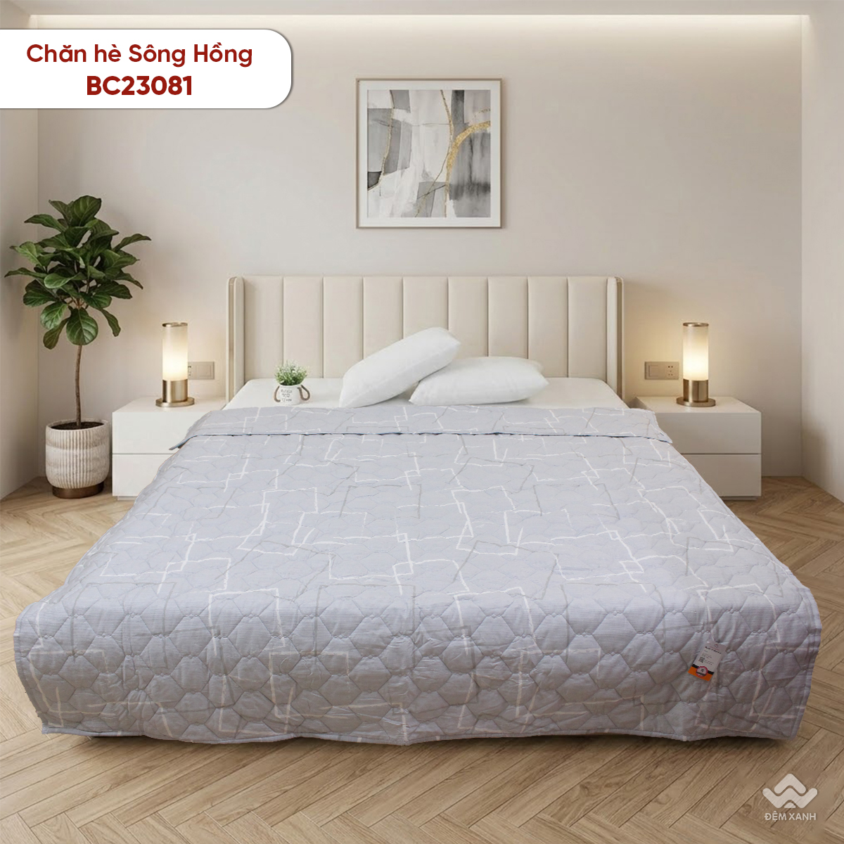 Chăn hè Sông Hồng basic cotton BC23081