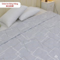 Chăn hè Sông Hồng basic cotton BC23081-4