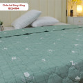 Chăn hè Sông Hồng basic cotton BC24104-6