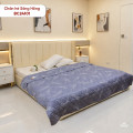 Chăn hè Sông Hồng basic cotton BC24101-2
