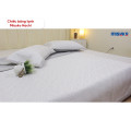 Chiếu điều hòa Misuko Hachi băng lạnh-21