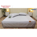 Bộ ga gối Misuko Hachi băng lạnh-14