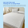 Bộ ga gối Misuko Hachi băng lạnh-0