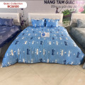 Chăn ga gối Sông Hồng Basic cotton BC26120-2