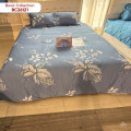 Chăn ga gối Sông Hồng Basic cotton BC26121-2