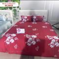 Chăn ga gối Sông Hồng Basic cotton BC26123-2
