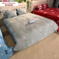 Chăn ga gối Sông Hồng Basic cotton BC26125-5