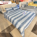 Chăn ga gối Sông Hồng Basic cotton BC26126-4