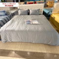 Chăn ga gối Sông Hồng Basic cotton BC26202-1
