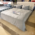 Chăn ga gối Sông Hồng Basic cotton BC26202-0