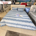 Bộ drap bọc Sông Hồng Basic cotton BC26126-2