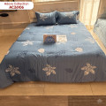 Chăn đông Sông Hồng Adore AC26106-4