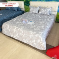 Chăn đông Sông Hồng Adore AC26110-2