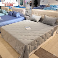 Chăn đông Sông Hồng Basic cotton BC26302-4
