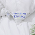 Ruột chăn Olympia xuất khẩu Micro Fiber-5