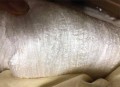 Ruột chăn tơ tằm cao cấp RCTT01-10